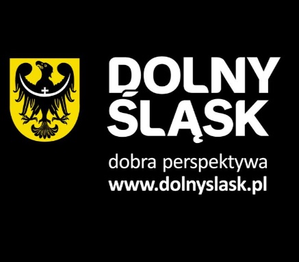 Dolny slas - czarne logo